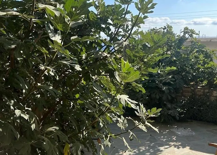 Parostalkinghouse * بوسي لِفاذي