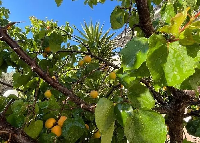 Сasa de vacaciones Parostalkinghouse